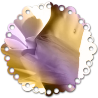 1 1